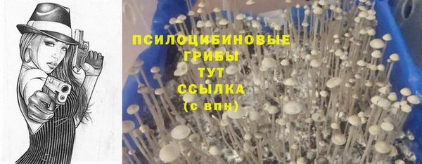 MDMA Premium VHQ Вяземский