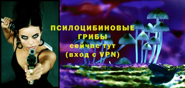 MDMA Premium VHQ Вяземский