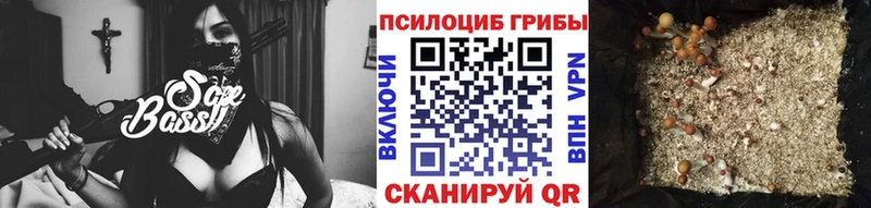 Галлюциногенные грибы Psilocybine cubensis  где купить   Еманжелинск 